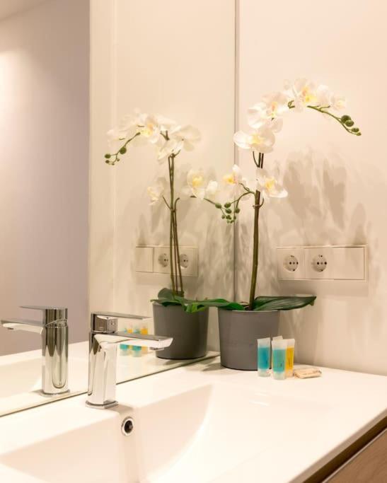 Amazing Apartment! Quiet And Bright, Madrid. 外观 照片